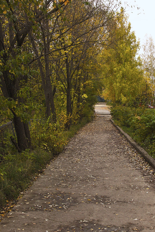 Осенний пейзаж - Виктор Добрянский