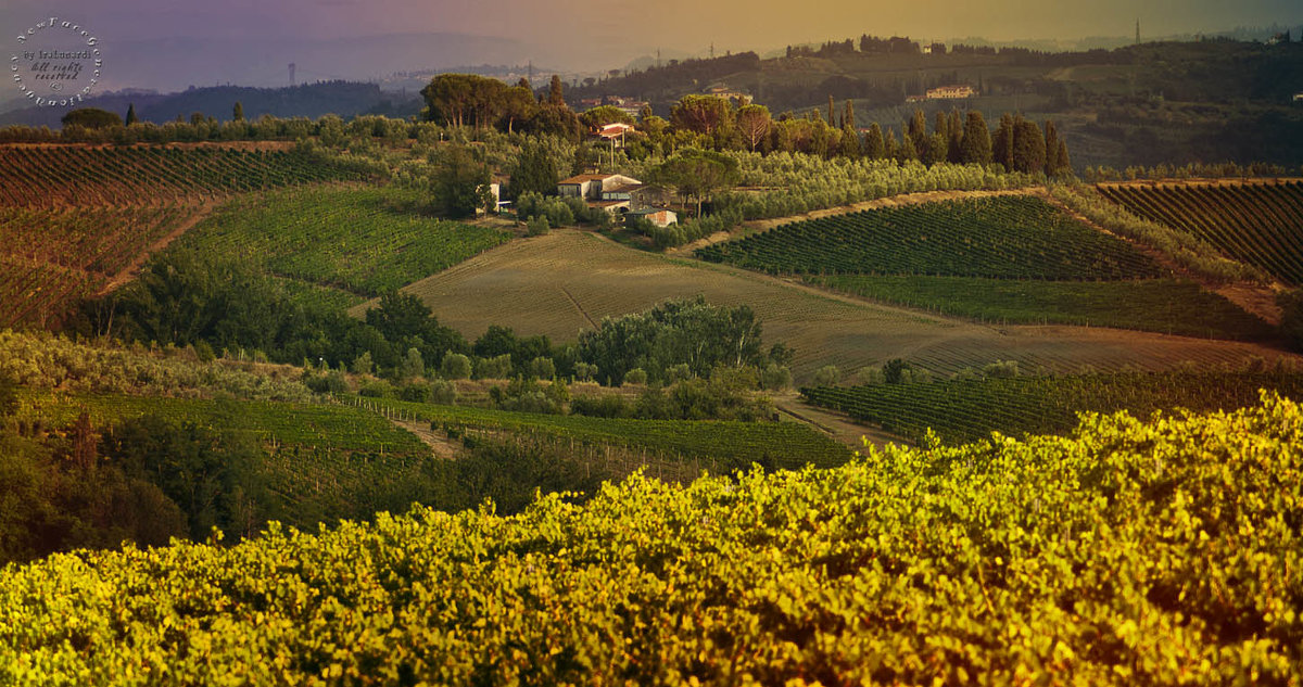 COMUNE DI VINCI; TOSCANA; 2015, by iramashura - ira mashura