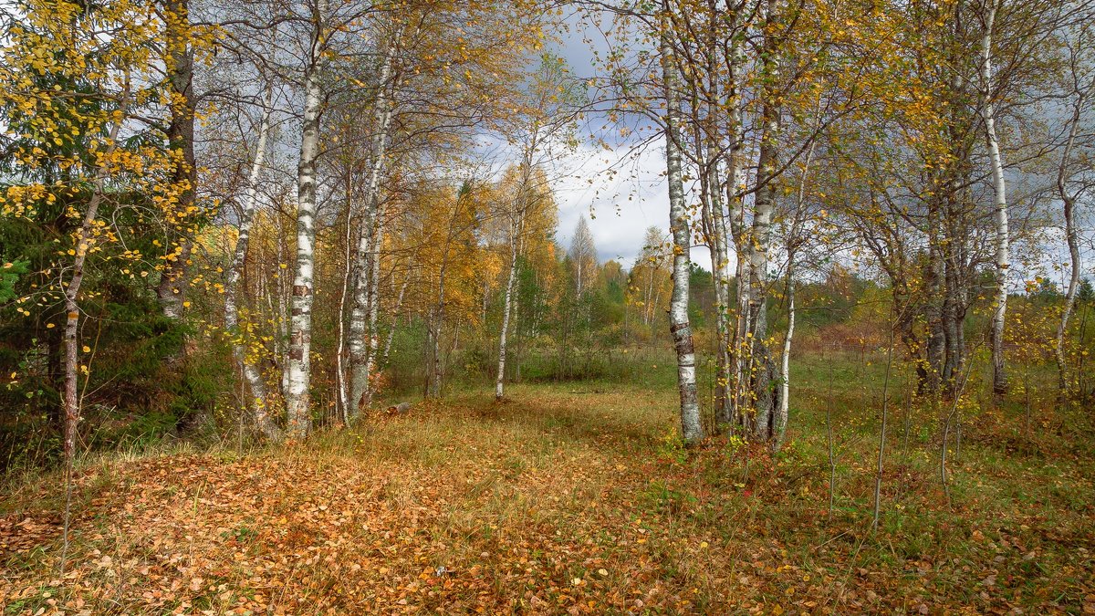 Сентябрь... - Федор Кованский