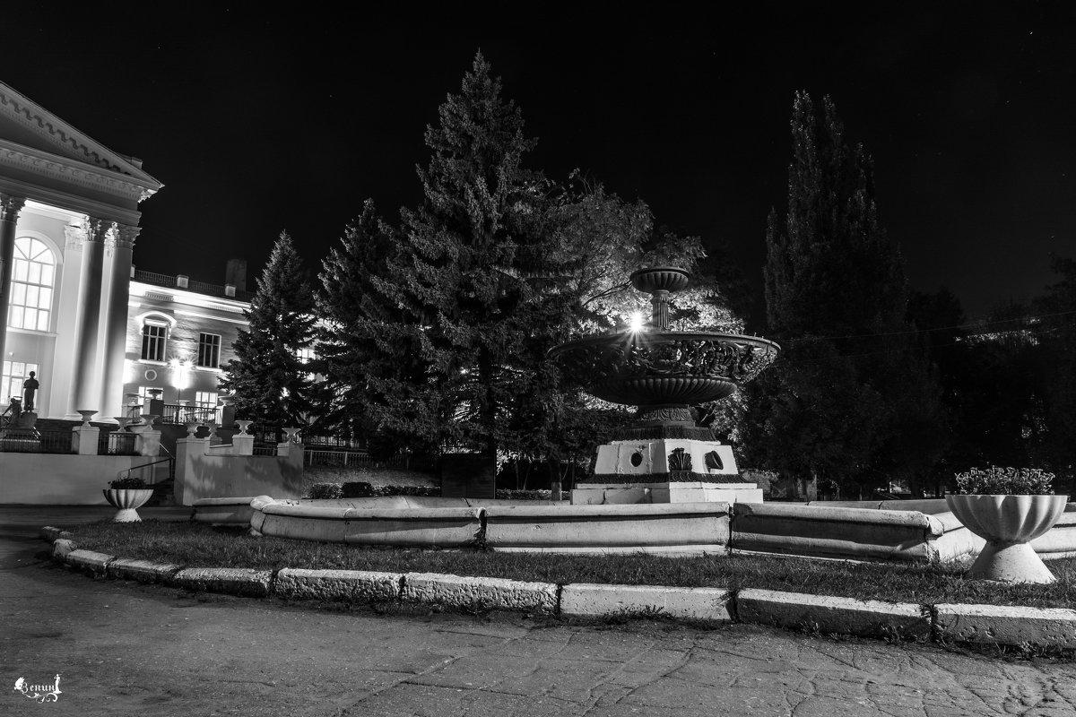 Ночной парк - Виктор Зенин