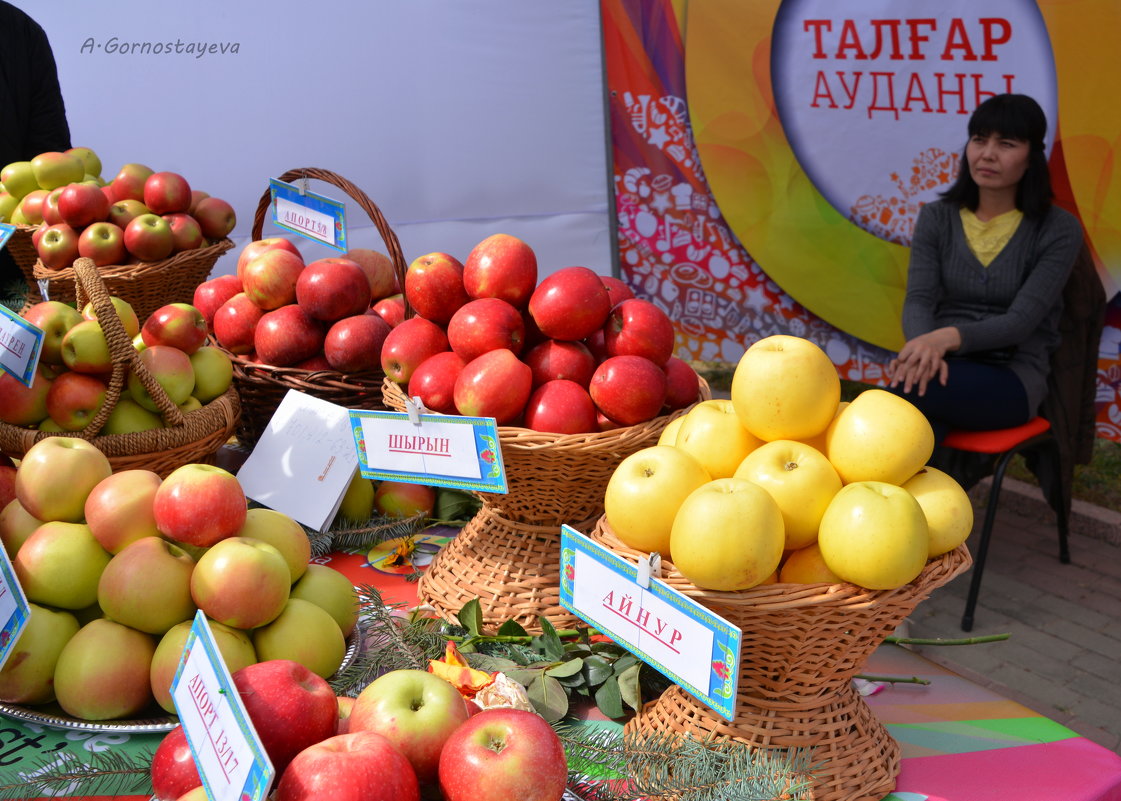 Городской фестиваль яблок. - Anna Gornostayeva