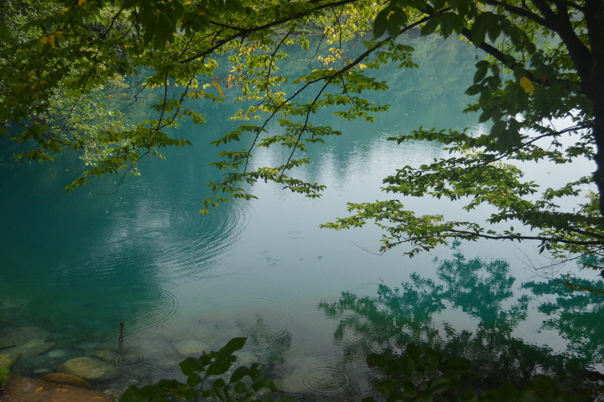 Зеленое озеро - Андрей Кончин