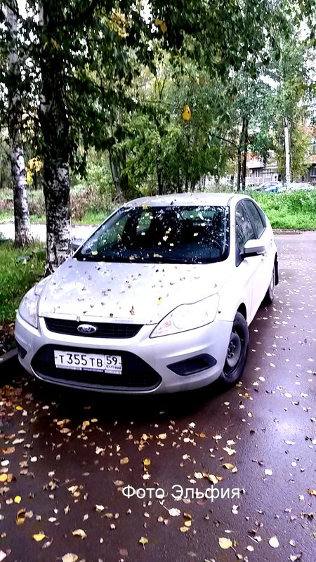 "Осень-Она не спросит..."(с) - Эльфия 