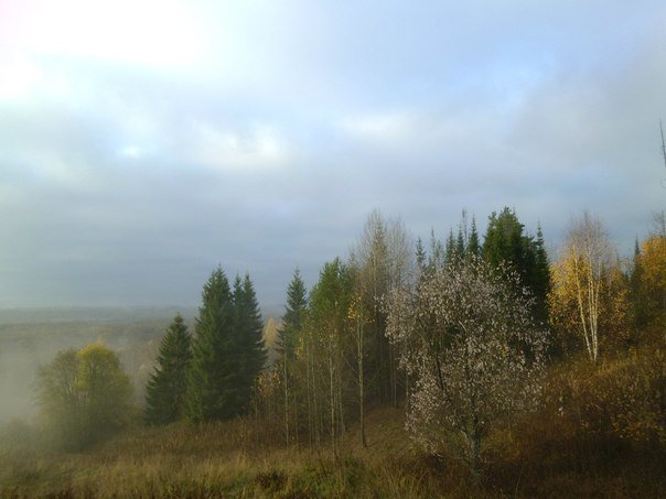 Туманная расплывчатость пейзажа осенним утром - Николай Туркин 