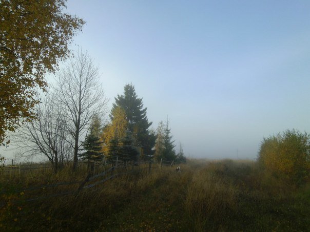 Прогулка в утреннем тумане мимо старого кладбища - Николай Туркин 