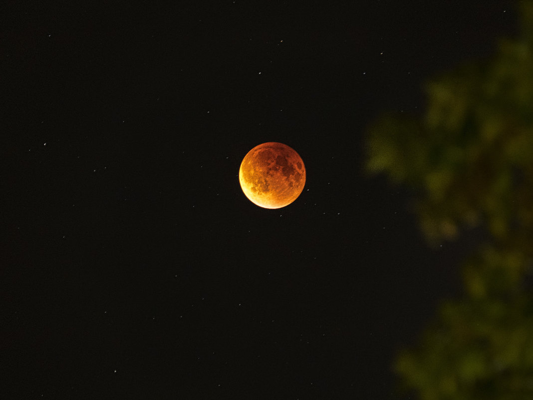 Blood Moon (Кровавая Луна) из Янкерс, Нью Йорк - Vadim Raskin