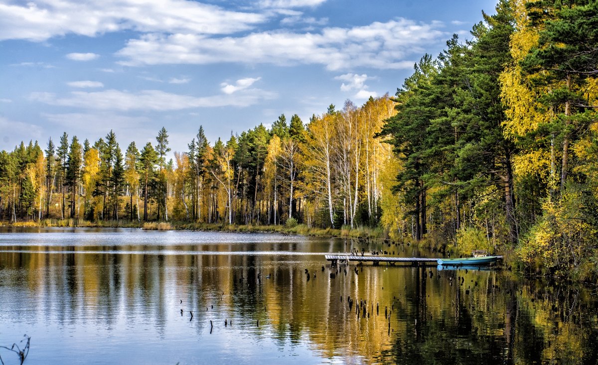 autumn morning on the river - Dmitry Ozersky