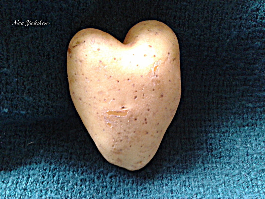 Сердечная картофелина - Nina Yudicheva