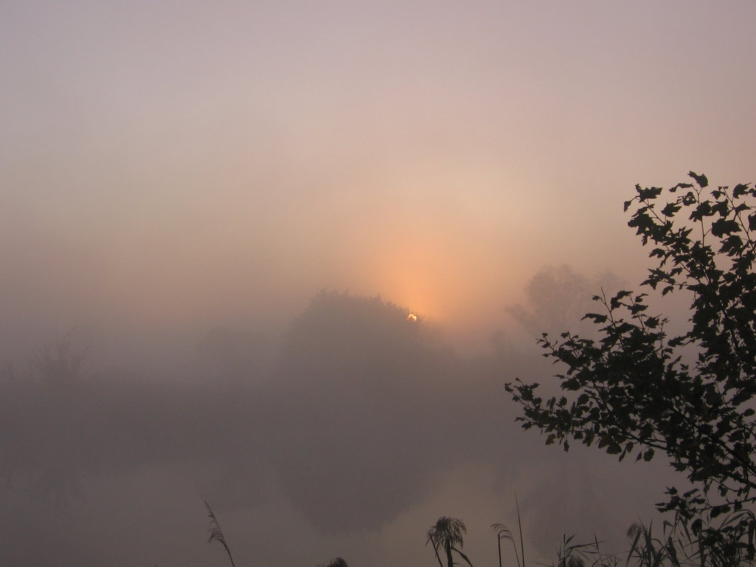 Утро туман - Владимир 