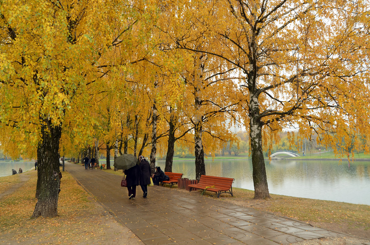 Осень в парке - Анатолий Цыганок