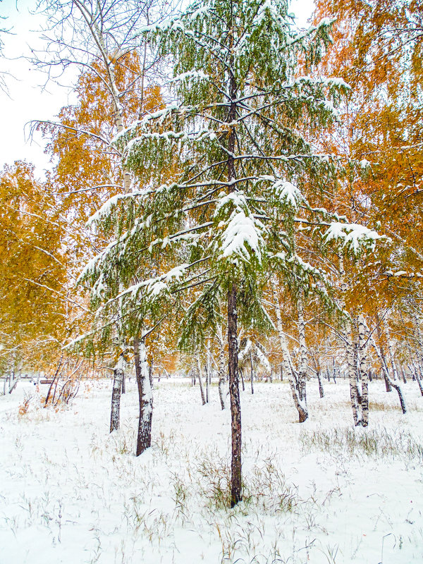 первый снег в Иркутске - Иван 