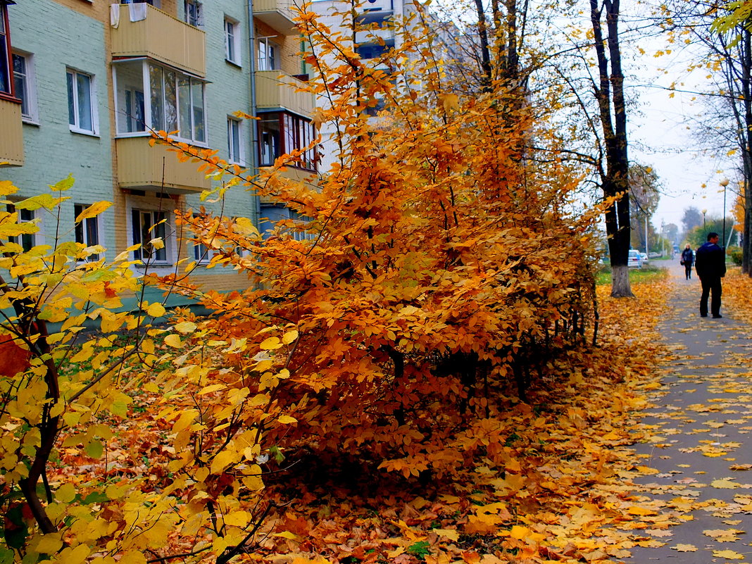 городская осень - Александр Прокудин