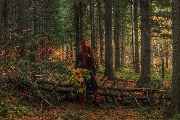 заколдованный лес - Светлана 