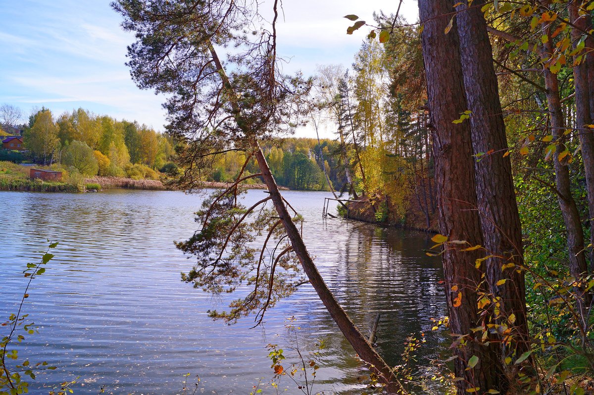 На озере - Александр Ковальчук