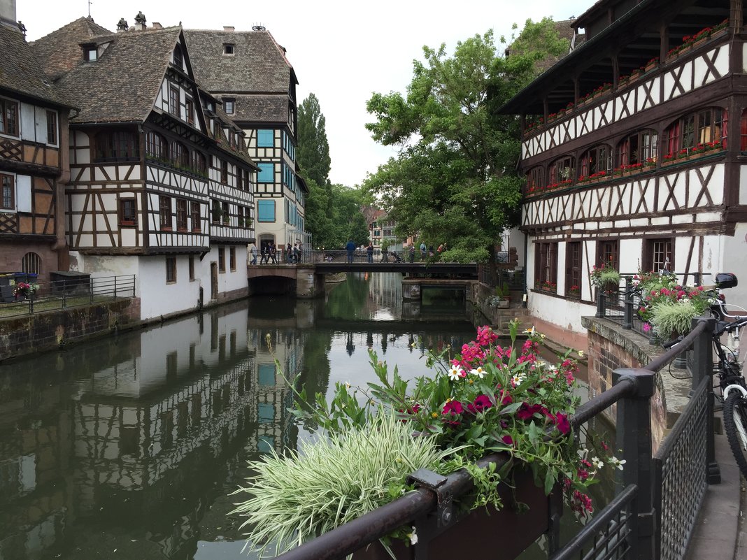 Strasbourg - Зоя Былинович 