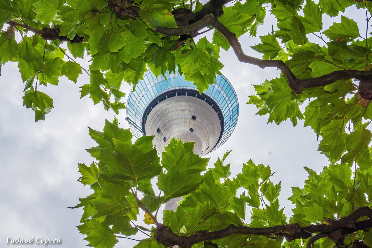 Смотровая башня (Дюзельдорф, Германия) - Сергей Гибков
