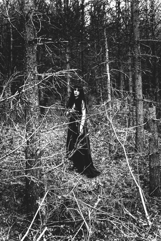 В лесах тьмы - Анна Коняхина