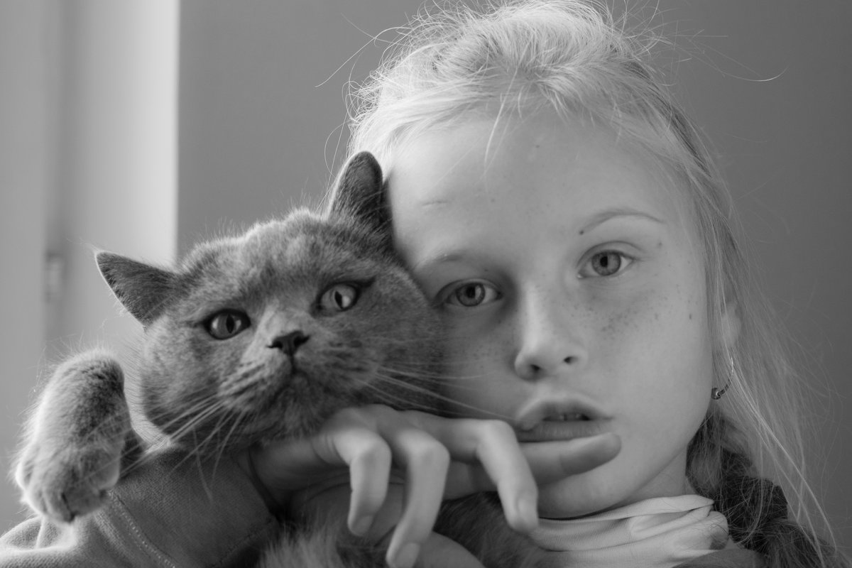 Портрет девочки с котом - Дмитрий Шишкин