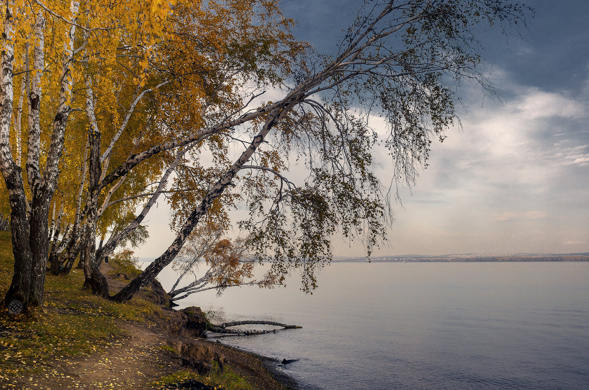 Осенний пейзаж - Хась Сибирский