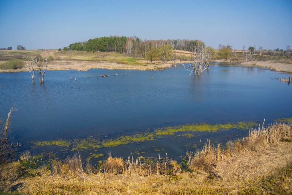 Озеро в Тиганово - Евгений Дубовцев