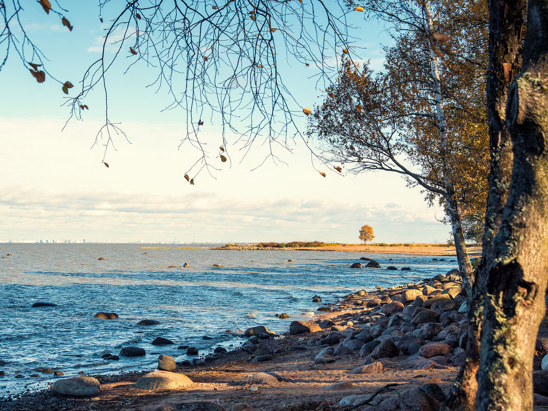 Берег Финского залива, осень - Елизавета Вавилова