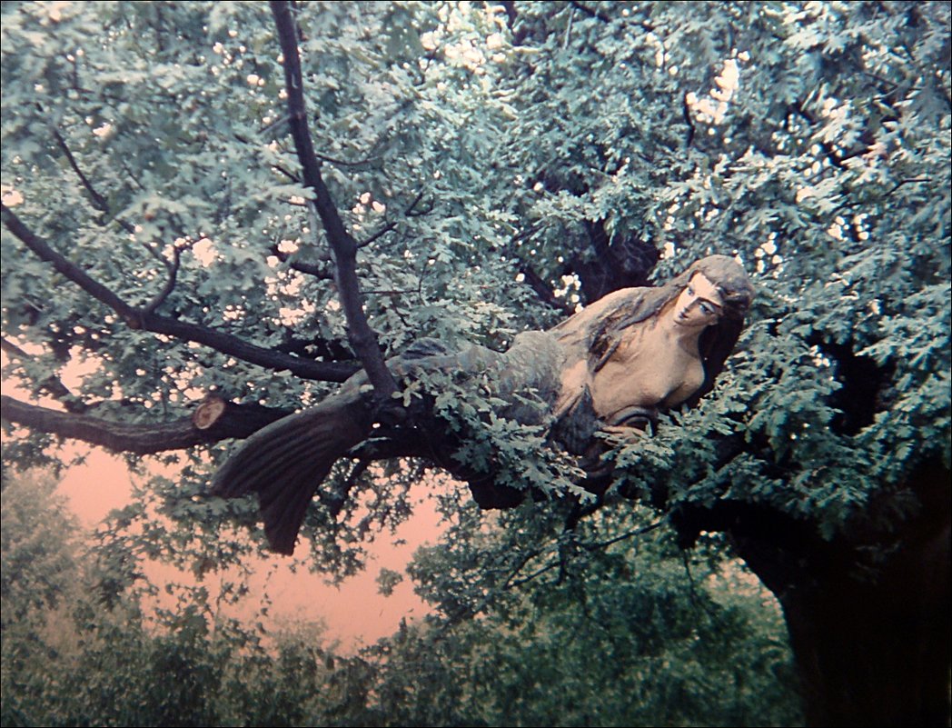 Русалка на ветвях... Симферополь, Пионерский парк.   1978 год - Нина Корешкова