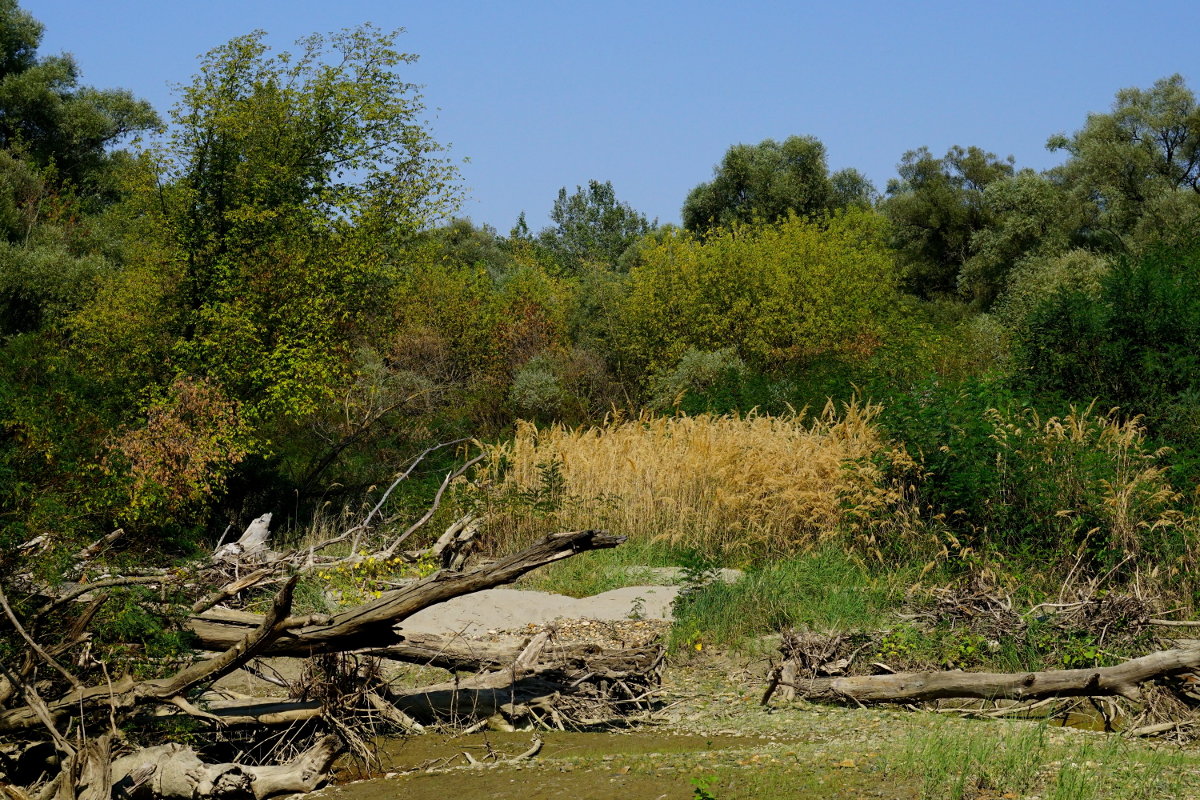 В начале каждого лета тут бежит полноценная река - Игорь Сикорский