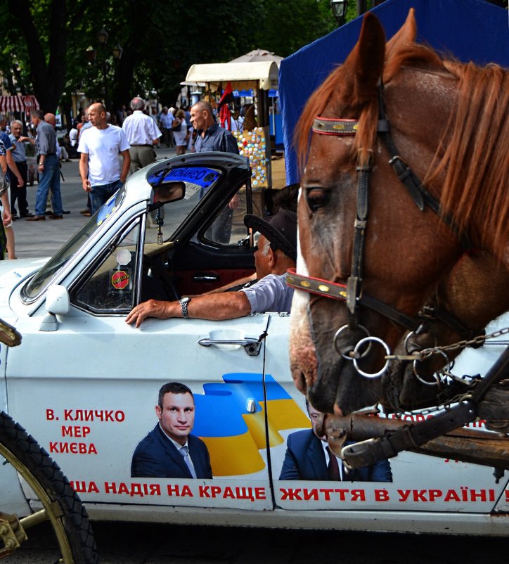 «Встречи на дороге и политическая реклама» - Aleks Nikon.ua