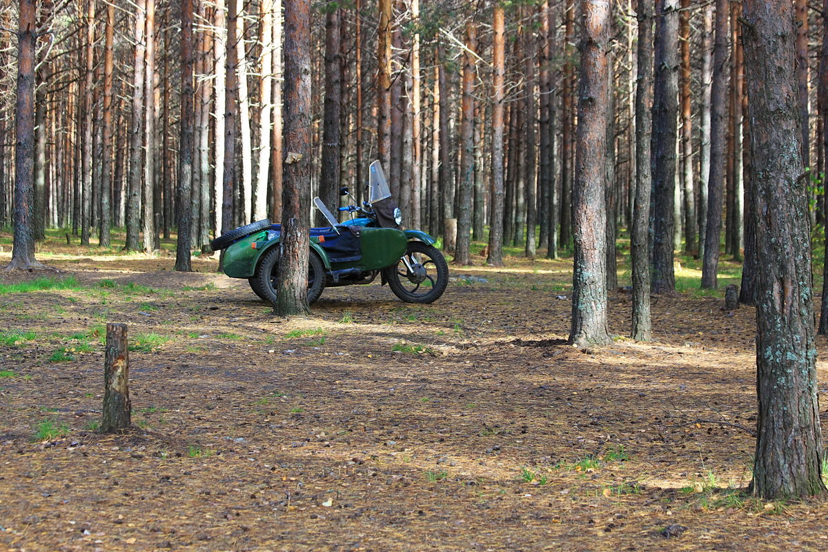 Мотоцикл Урал - Александр Щеклеин