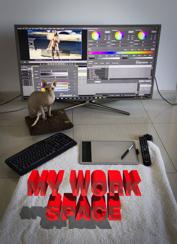 Work Space - Liana Klevcova