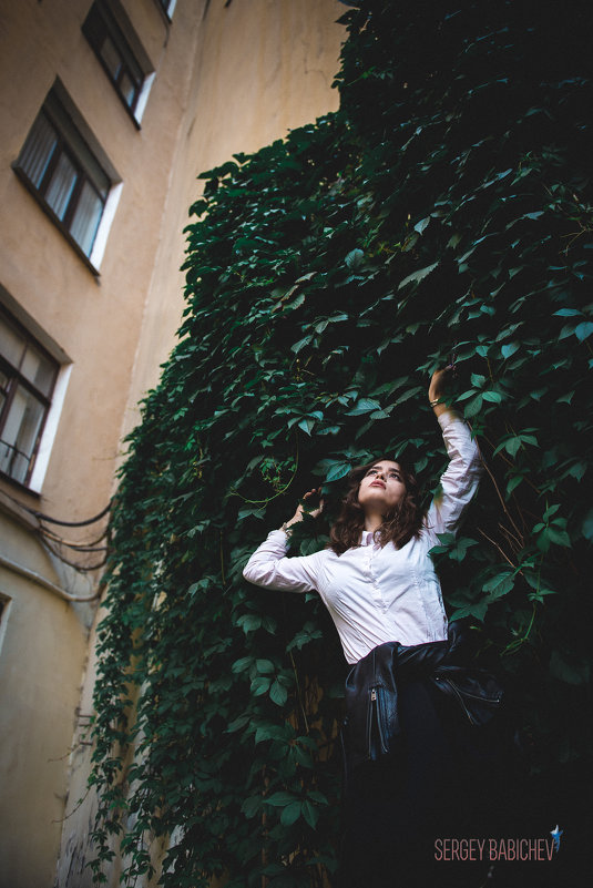 The Courtyards Of St. Petersburg - Сергей Бабичев