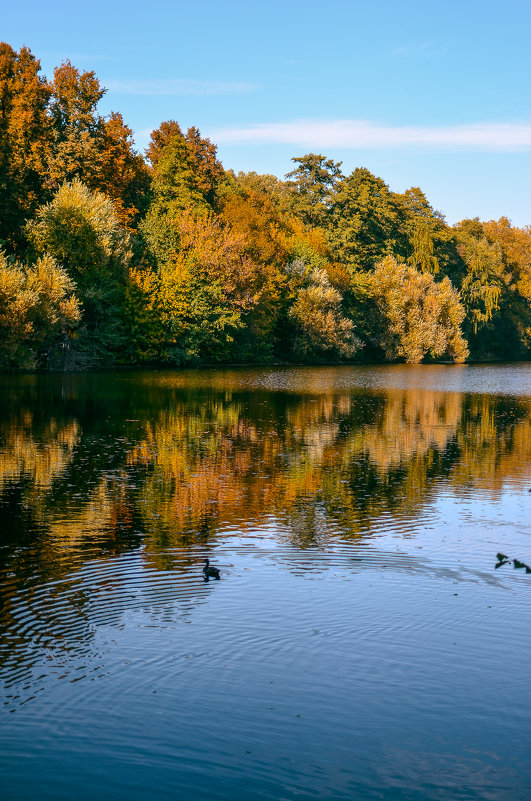 В парке - Ксения Базарова