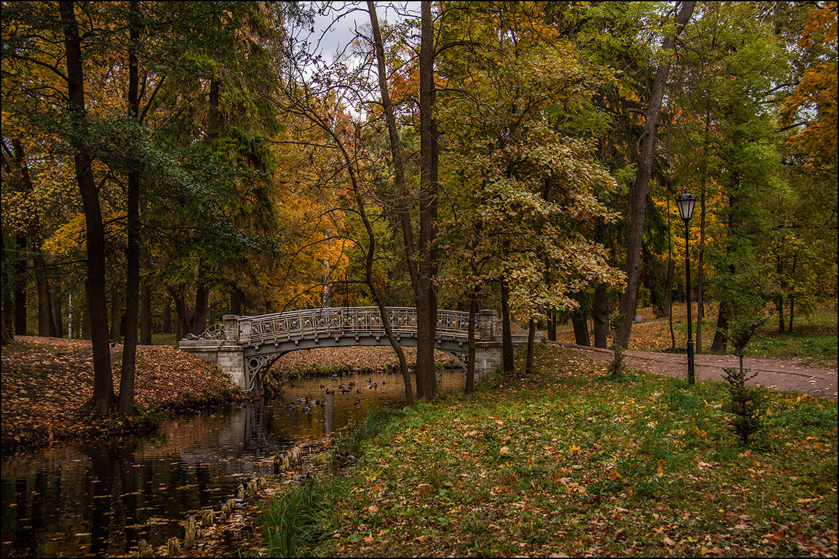 Осень в Гатчинском парке - LudmilaV ***