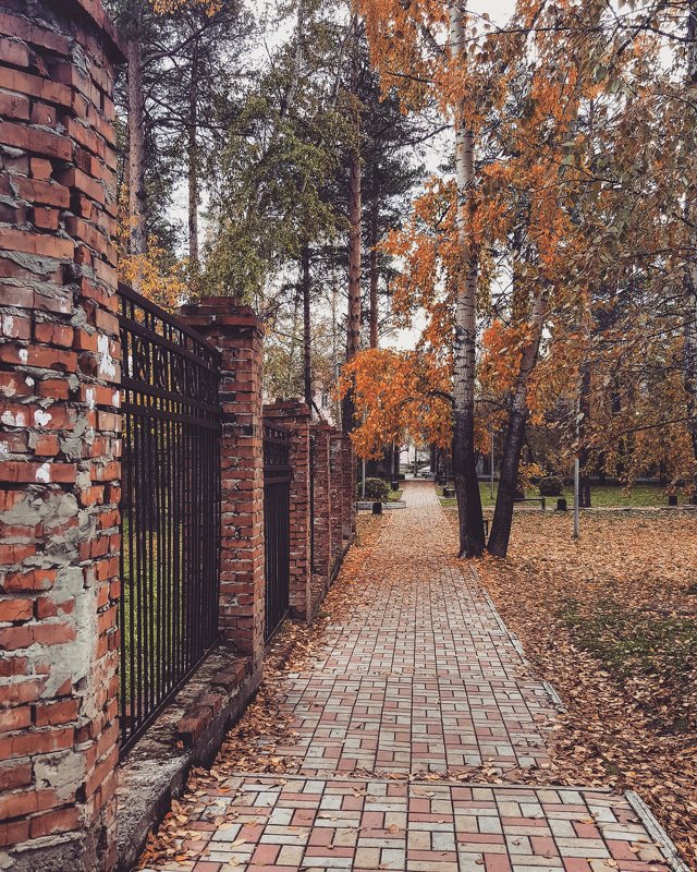 Осень - Ксения Паращенко