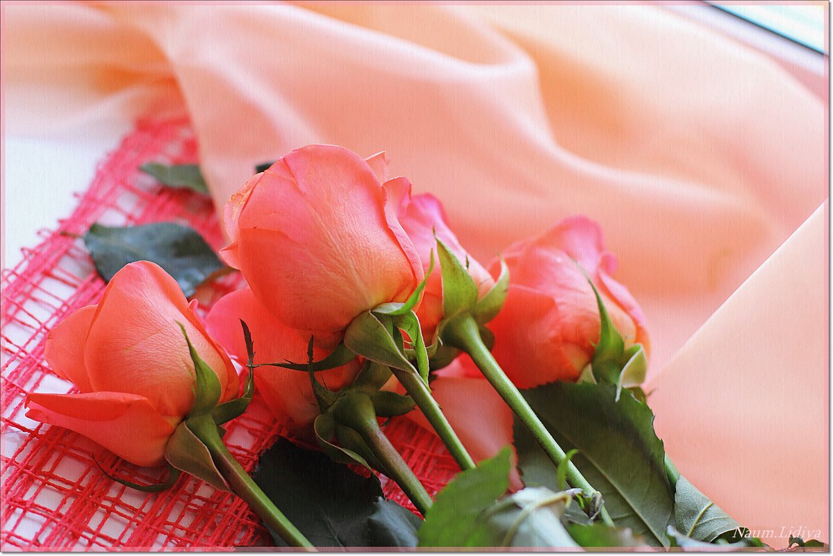Акварельные розы - Лидия (naum.lidiya)