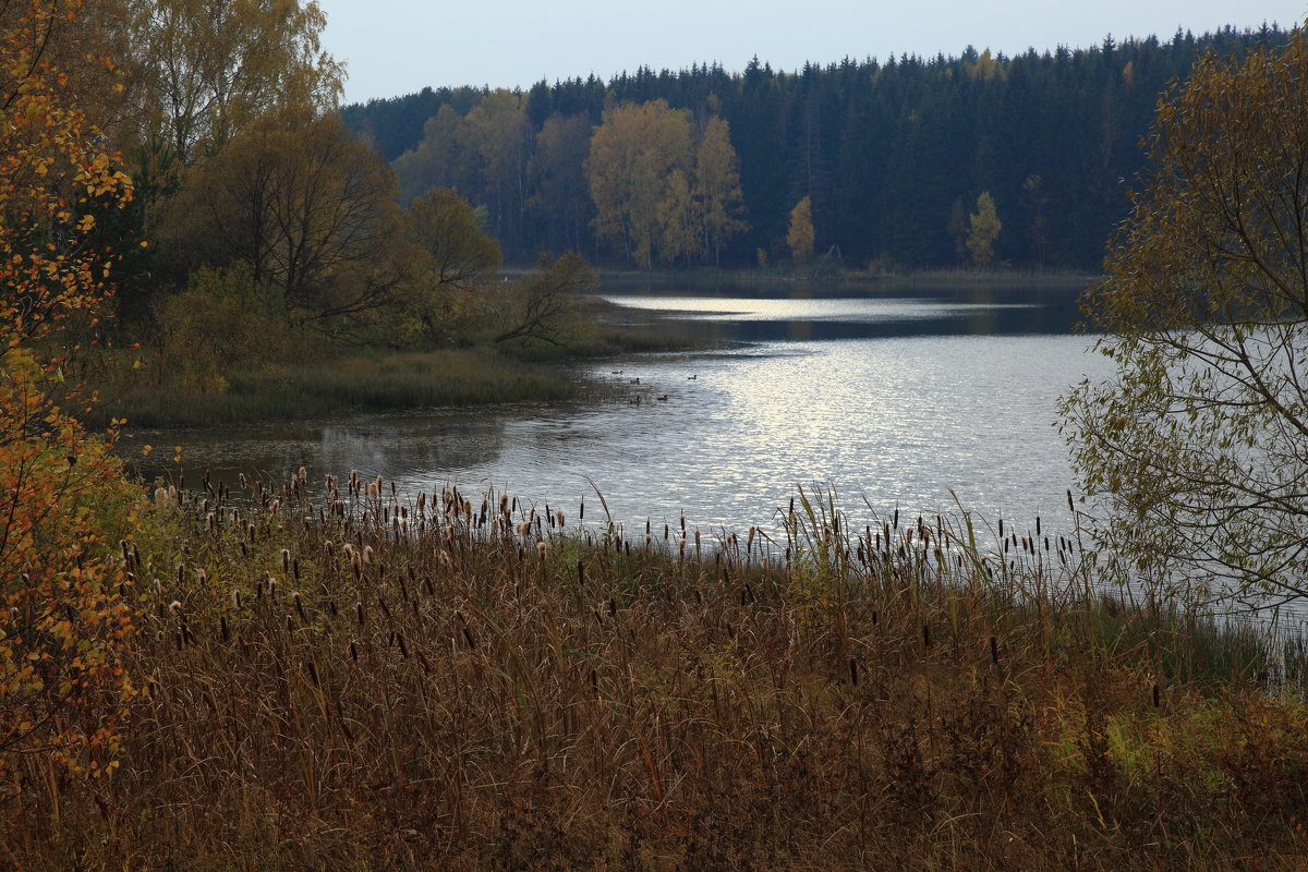 осень - сергей 