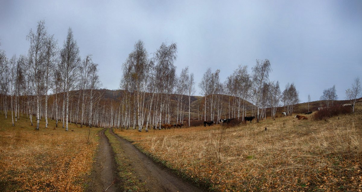 Осенняя панорама. - Виктор Гришенков