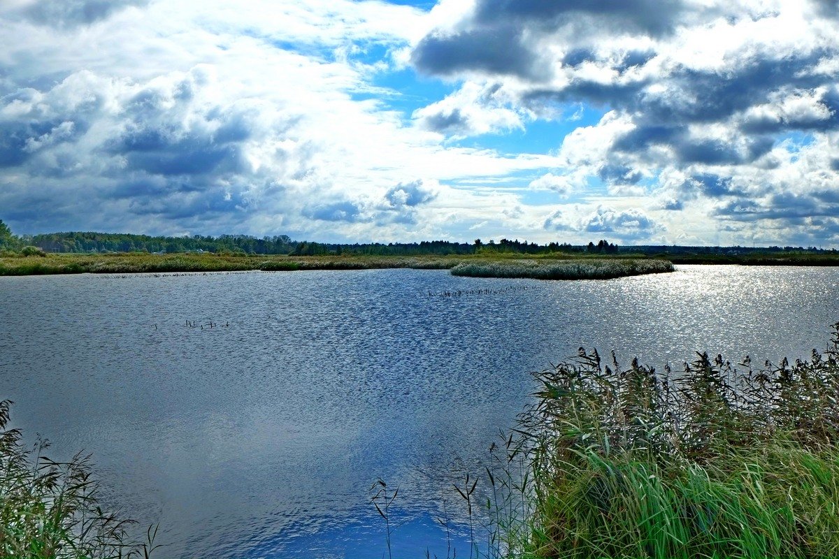 Мой любимый край - леонард 