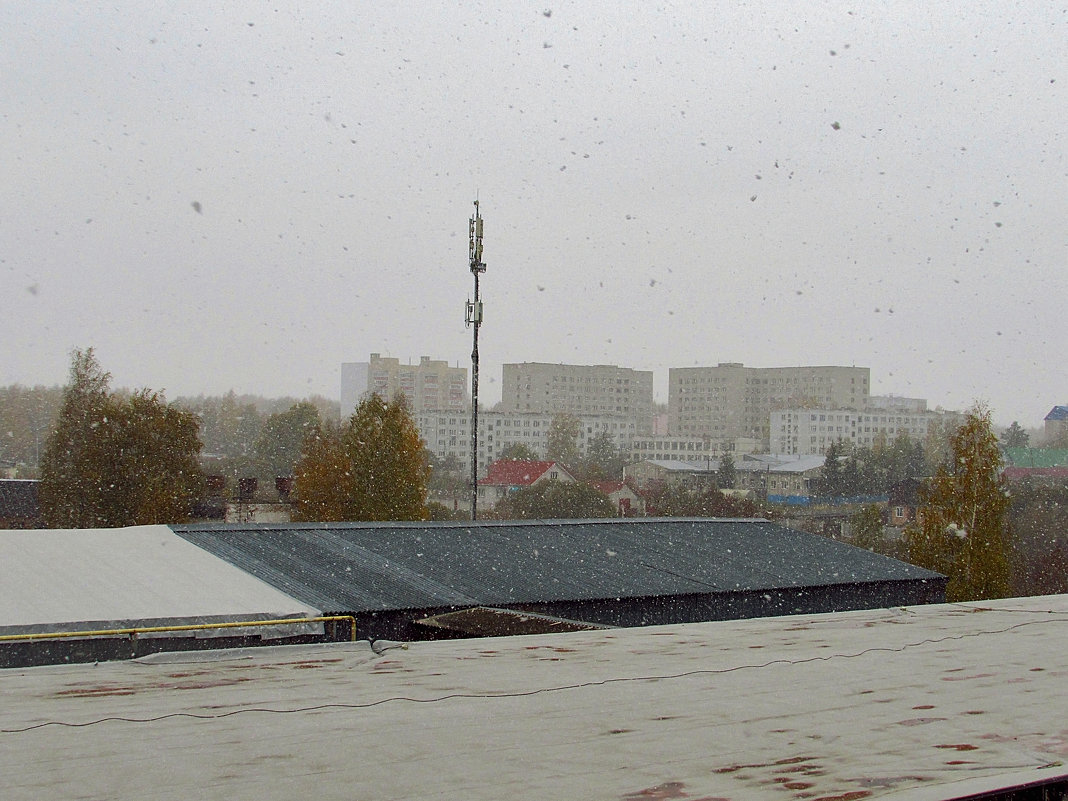 Осенний снегопад. - Yuriy V