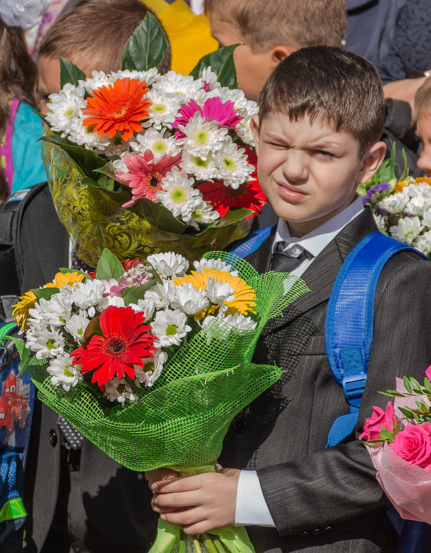 Здравствуй, школа... - Елена Бразис