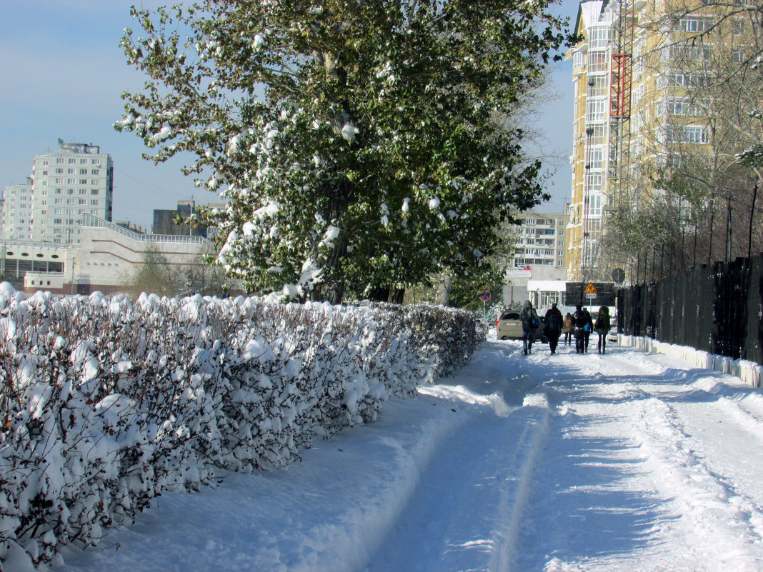 Первый снег - раиса Орловская