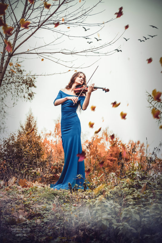 Одинокая скрипка - Фотохудожник Наталья Смирнова