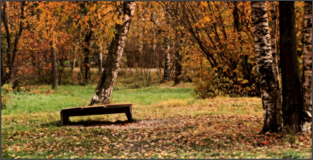 Картинки из Осени 2 - Алексей Астафьев