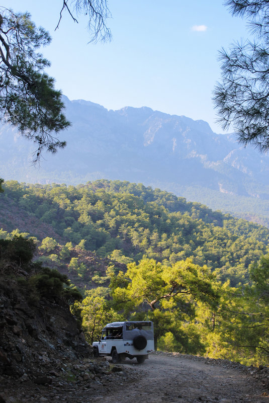 Turkish nature - Анна Черноскутова