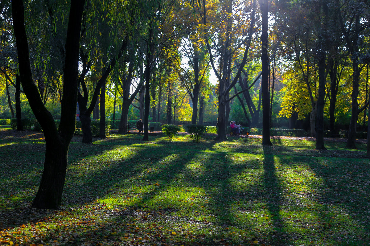 Солнечный парк Краснодар осень
