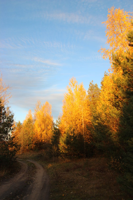 27.10.2015 Осень - Александр 