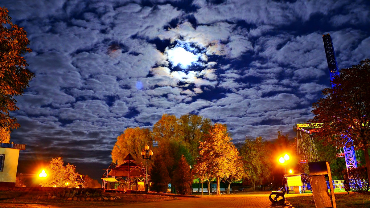 Лунная ночь в парке - Иван Николаевич