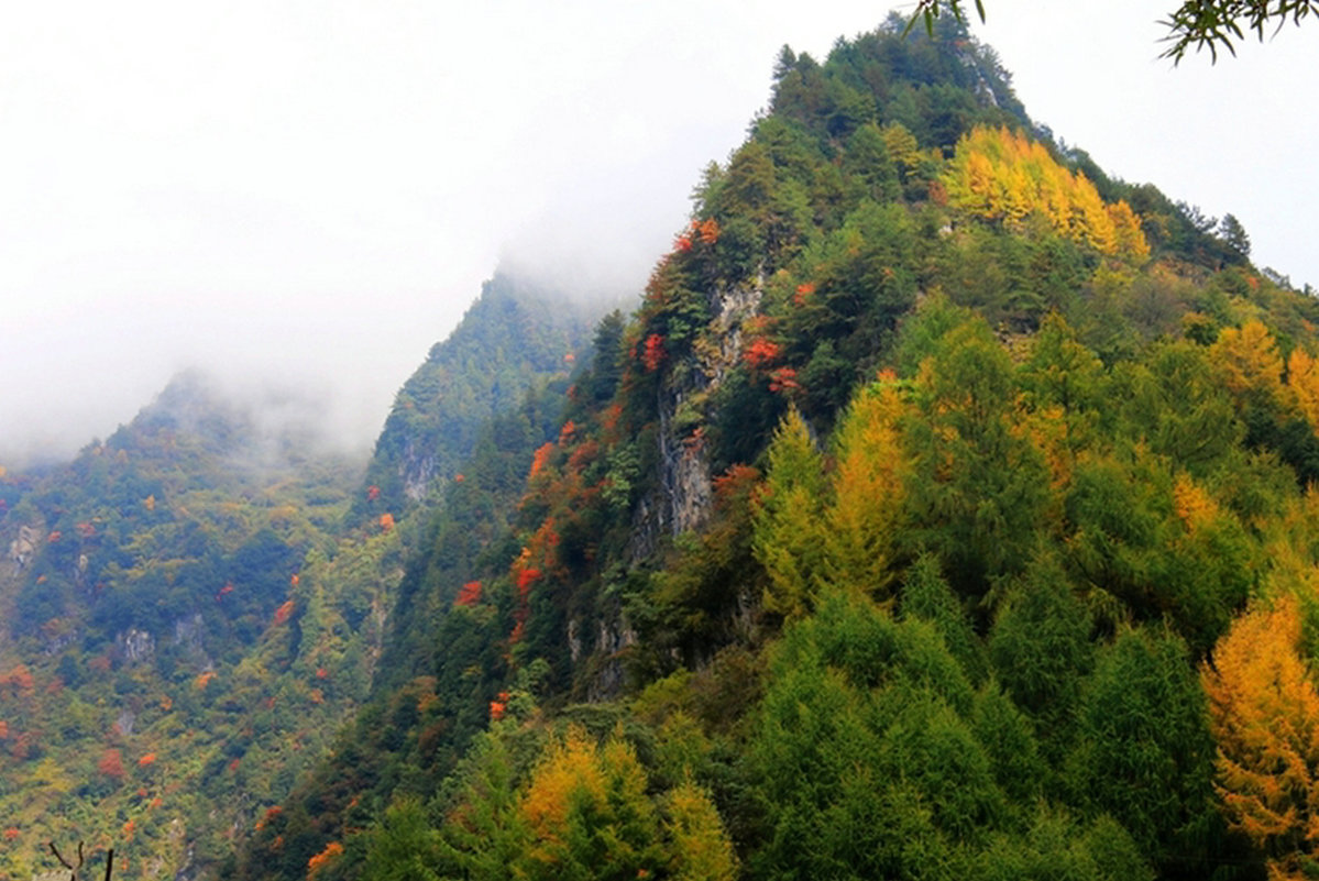 горы Мйчаншань - chinaguide Ся