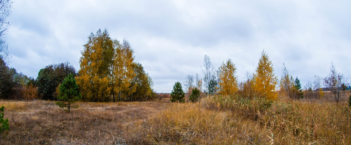 Осень - Андрей Воробьев