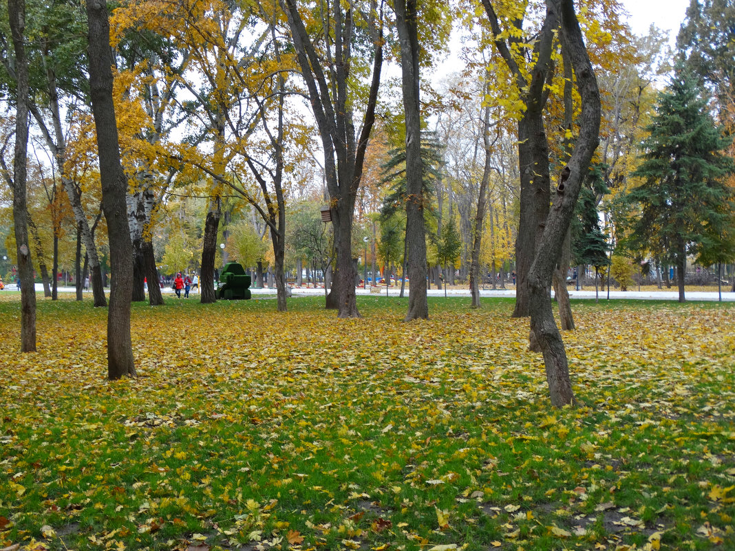 Осень в парке...8 - Тамара (st.tamara)